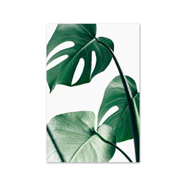 Monstera Leaf Banana Palm Canvas Prints