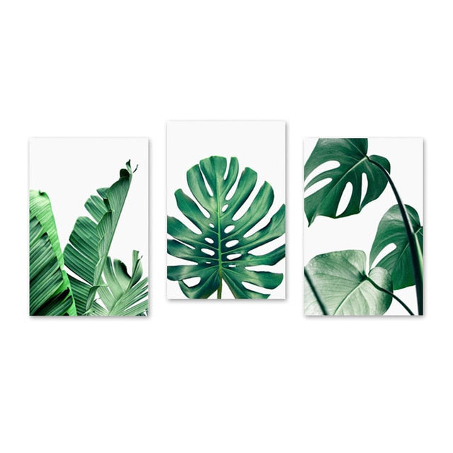 Monstera Leaf Banana Palm Canvas Prints